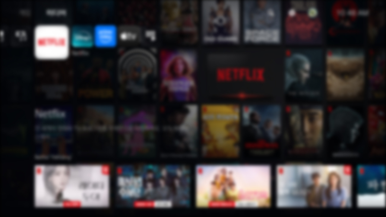 Netflix and What Came After