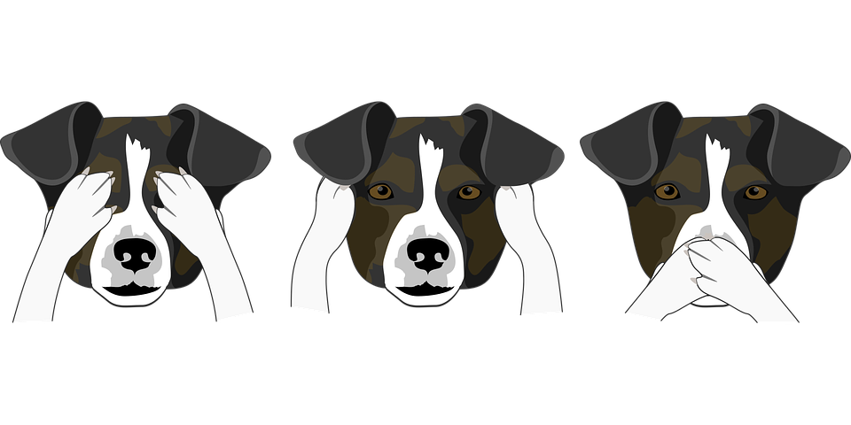 dogs-2945859_960_720 (1).png