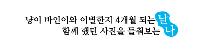 마무리 문구 copy.png