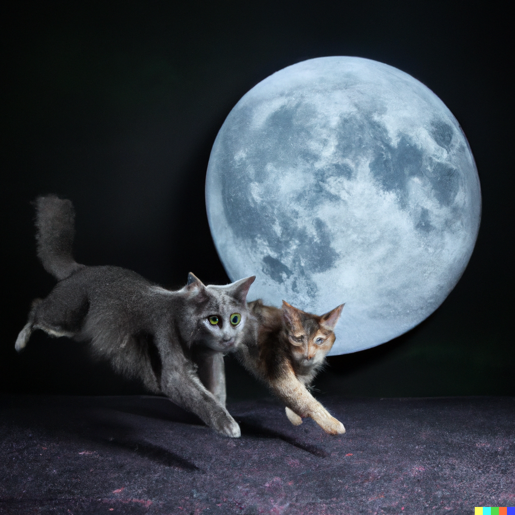 DALL·E 2022-07-28 01.46.26 - high quality photo of a Norwegian forest cat and Russian Blue cat running Together on moon.png