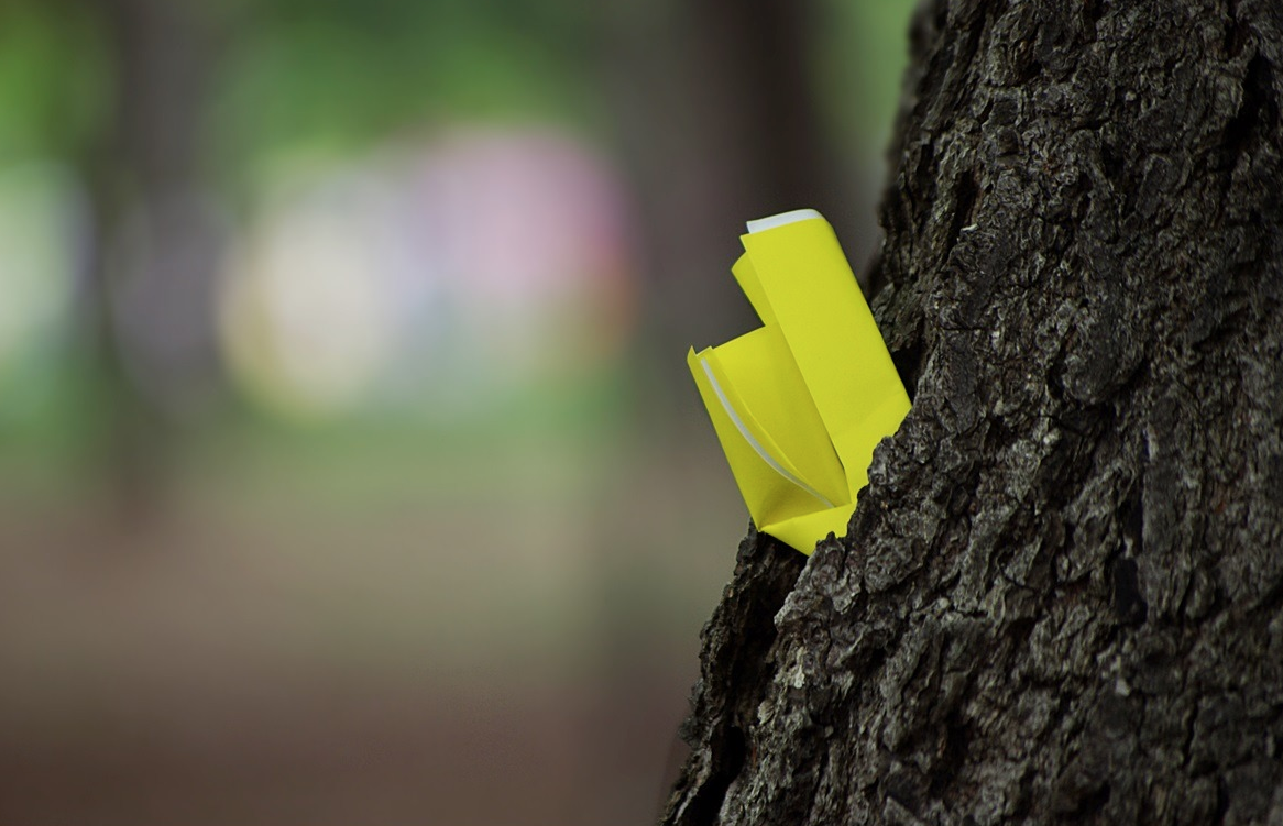 스크린샷 2019-11-16 오전 5.46.05.png