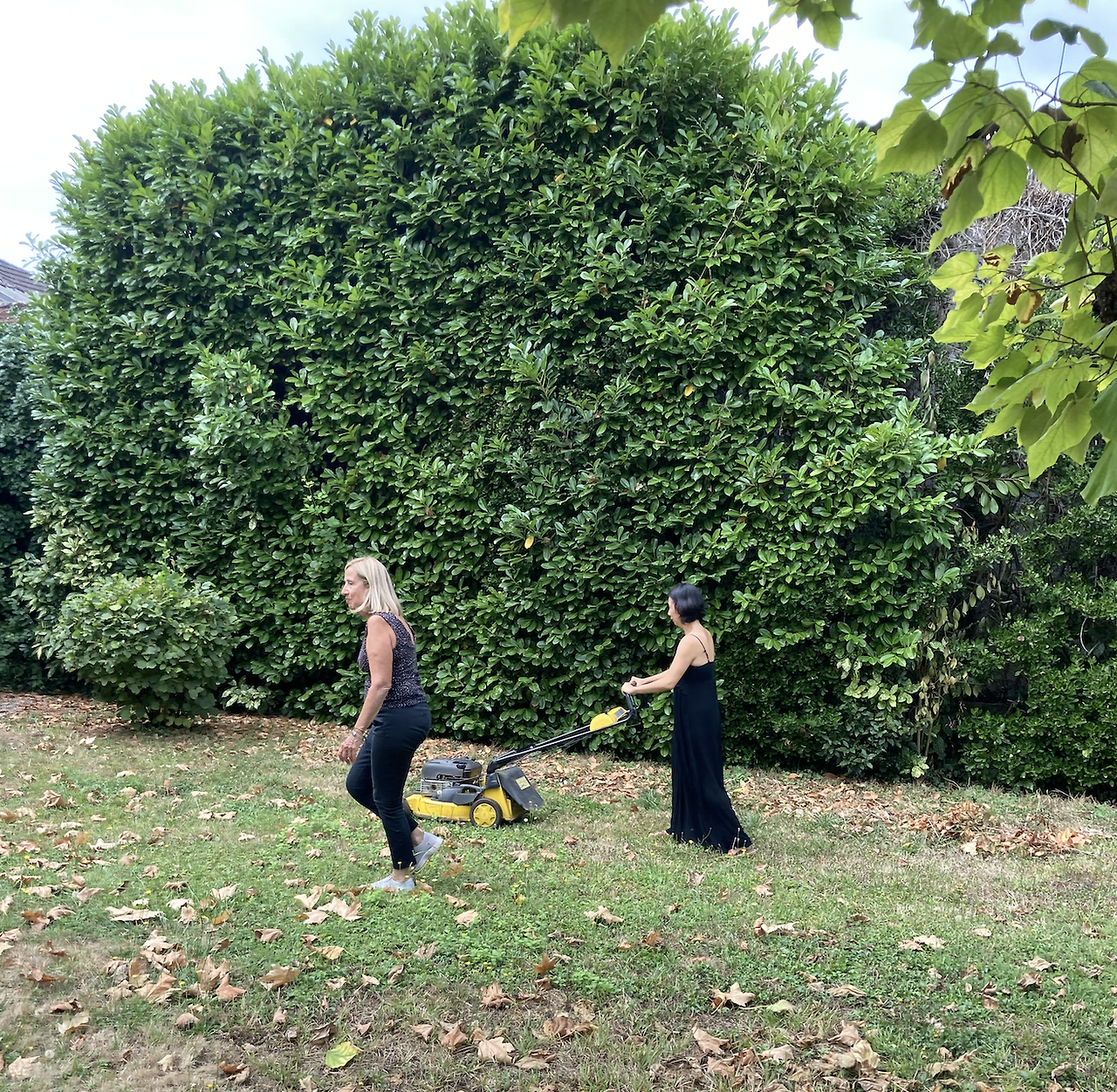 Screen Shot 2022-09-12 at 16.53.27.png