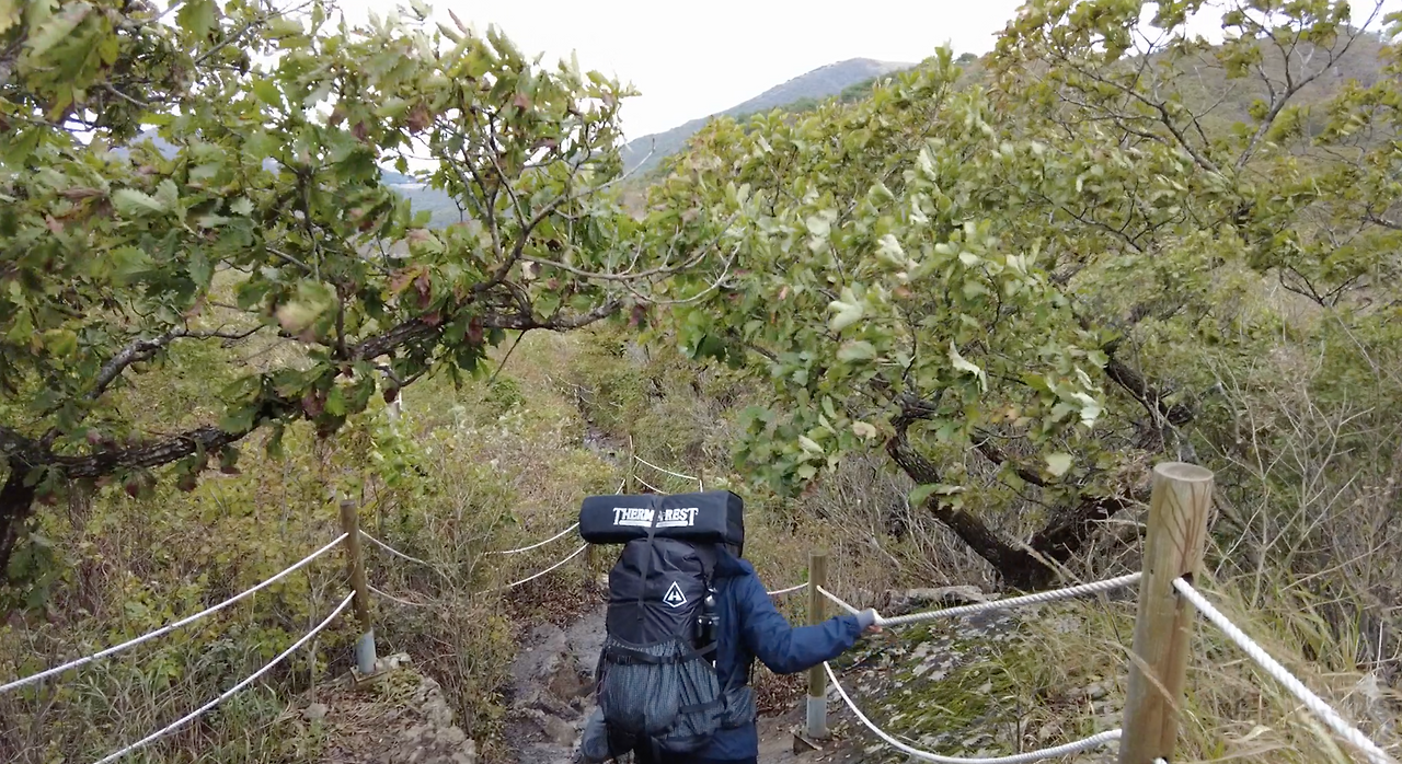 스크린샷 2021-10-23 오후 7.17.59.png