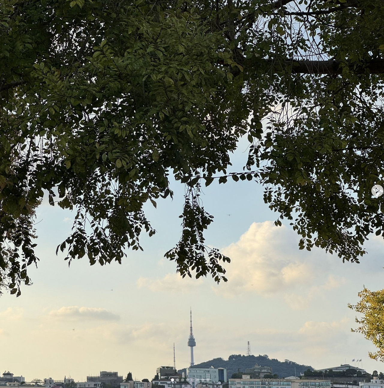 Screenshot 2026-01-19 at 6.15.26 pm.png