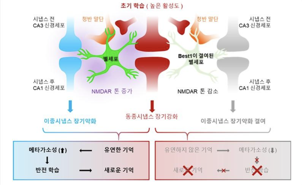 스크린샷 2025-03-25 오전 12.27.49.png