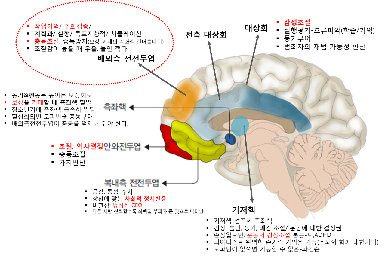 다운로드 (1).png
