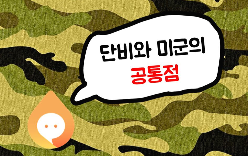 단비와 미군의 공통점.png