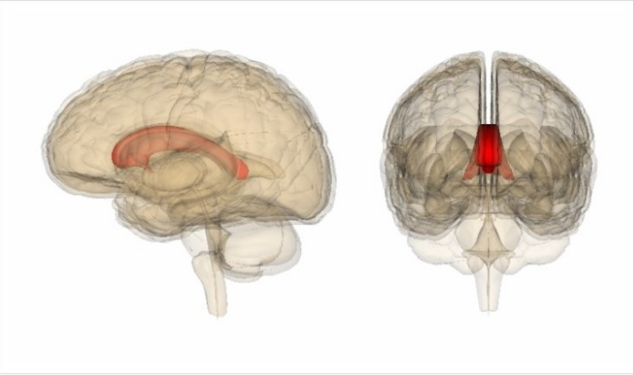 스크린샷 2016-01-07 오후 5.11.09.png