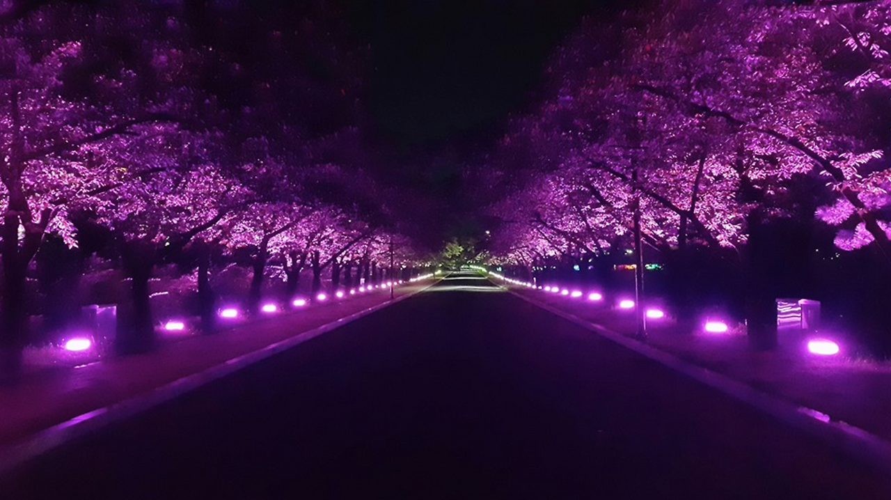 스크린샷 2017-05-31 오전 9.16.16.png