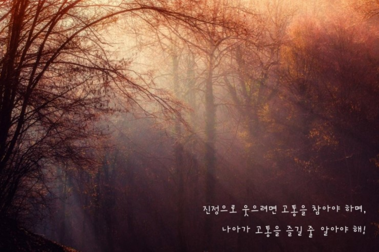 스크린샷 2017-05-18 오전 7.42.27.png