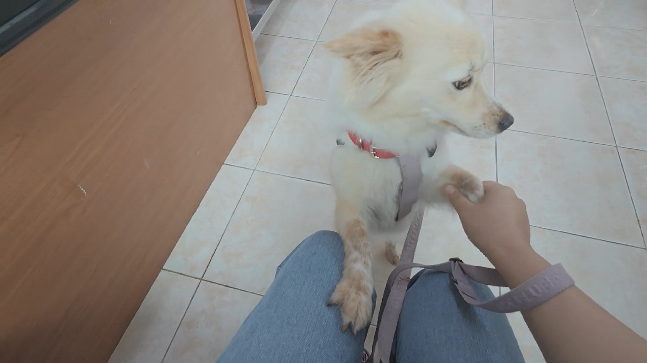 스크린샷 2025-12-09 202347.png