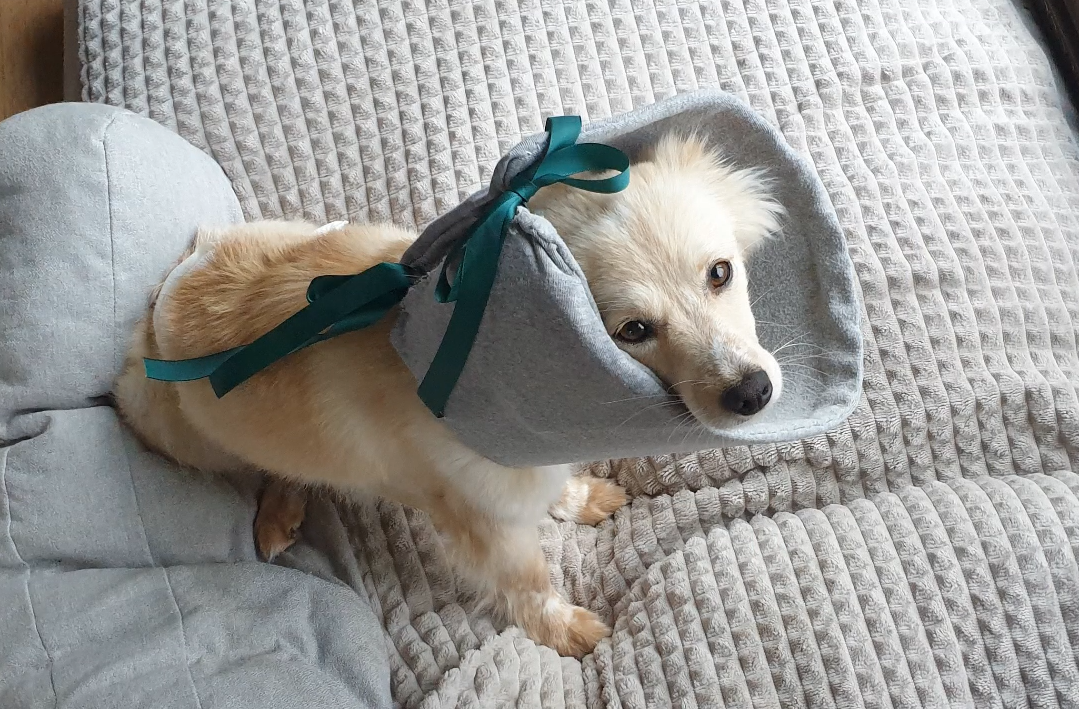 스크린샷 2025-12-09 202709.png