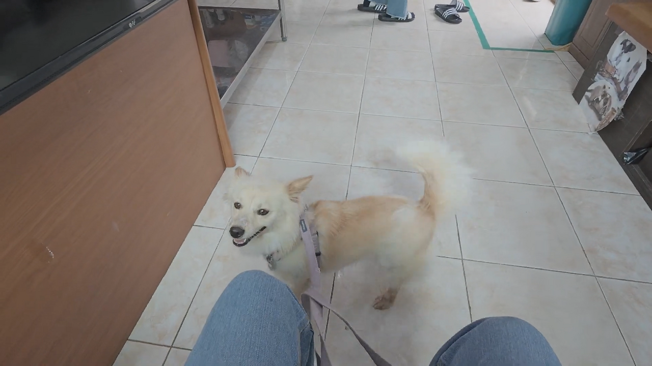 스크린샷 2025-12-09 202332.png