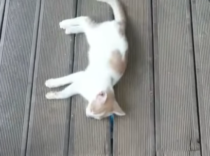 스크린샷 2025-11-29 111450.png