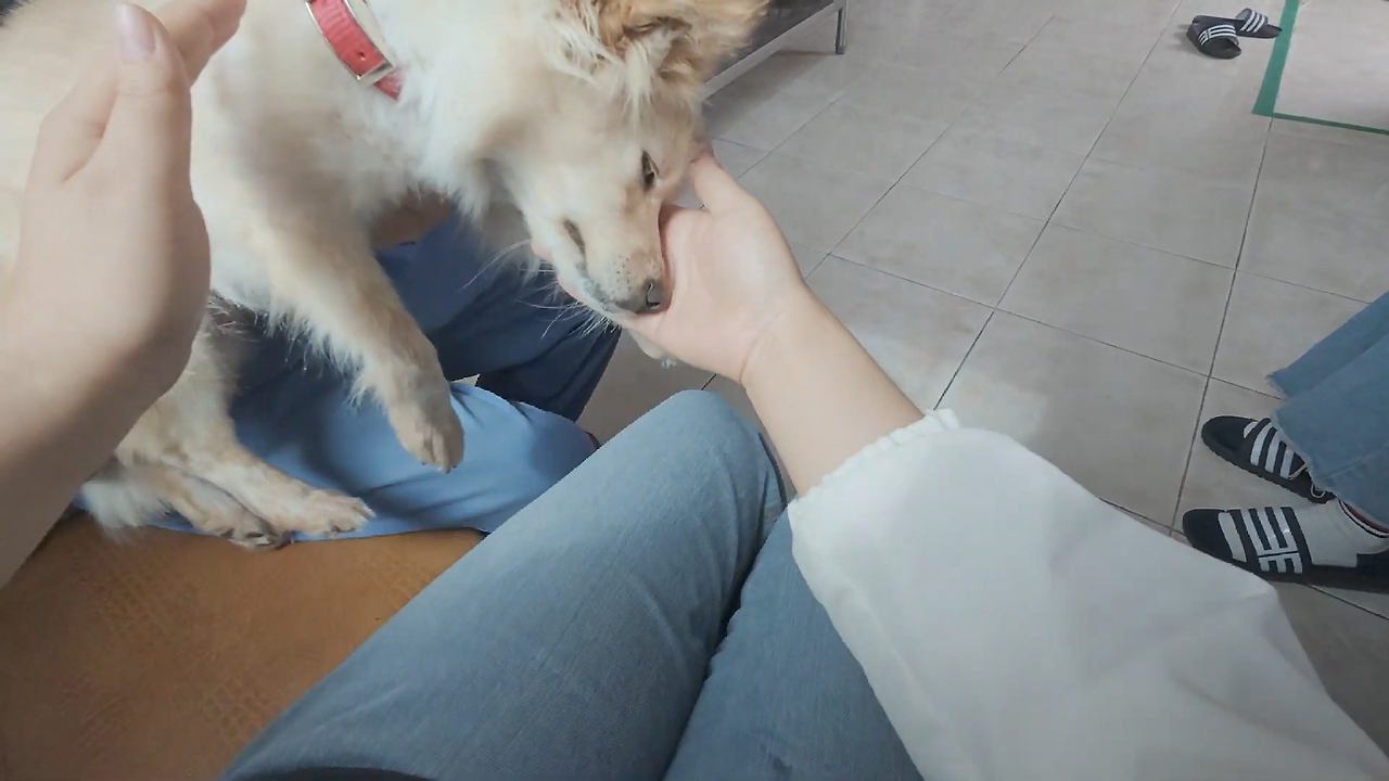 스크린샷 2025-12-09 202514.png