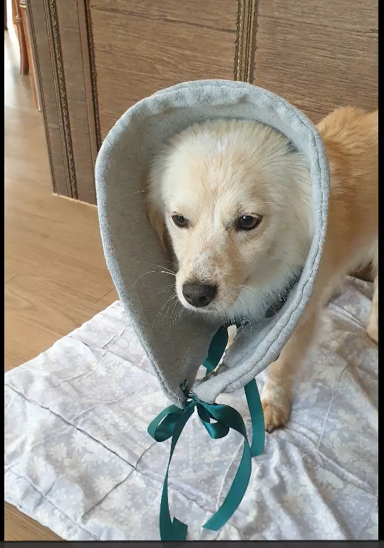 스크린샷 2025-12-09 202644.png