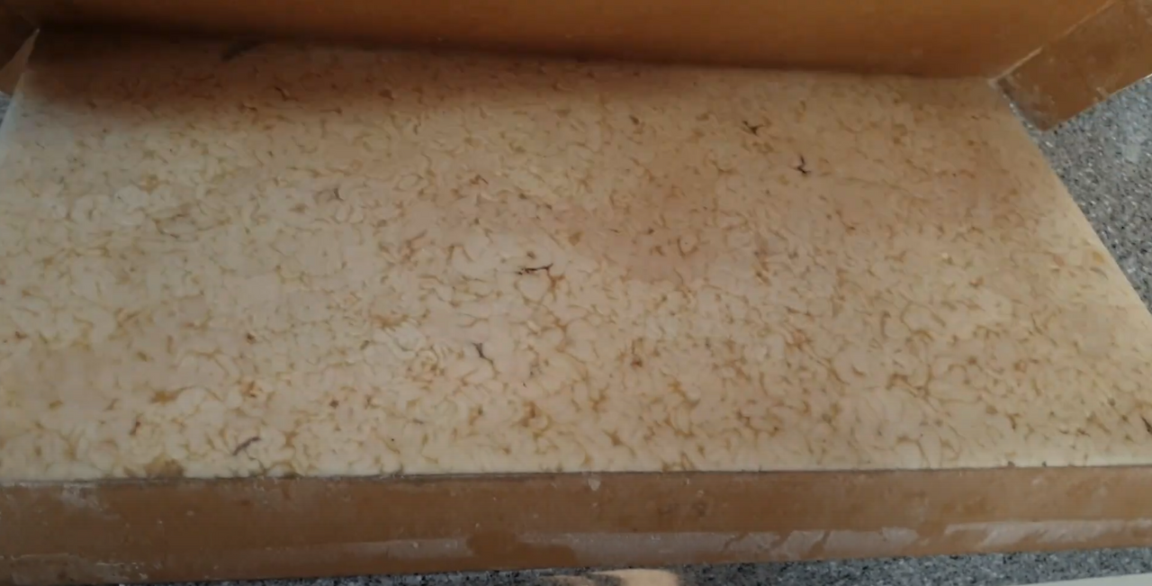 고니 열었을때.png