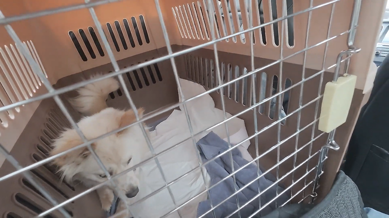 스크린샷 2025-12-09 202607.png