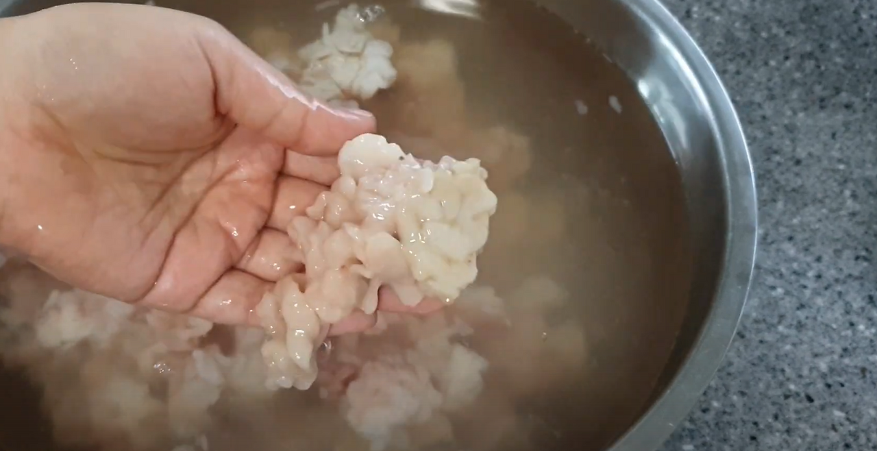 구물과 신물.png