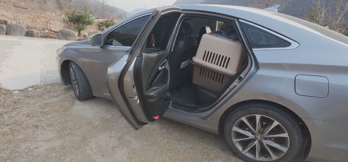 스크린샷 2025-11-21 211909.png