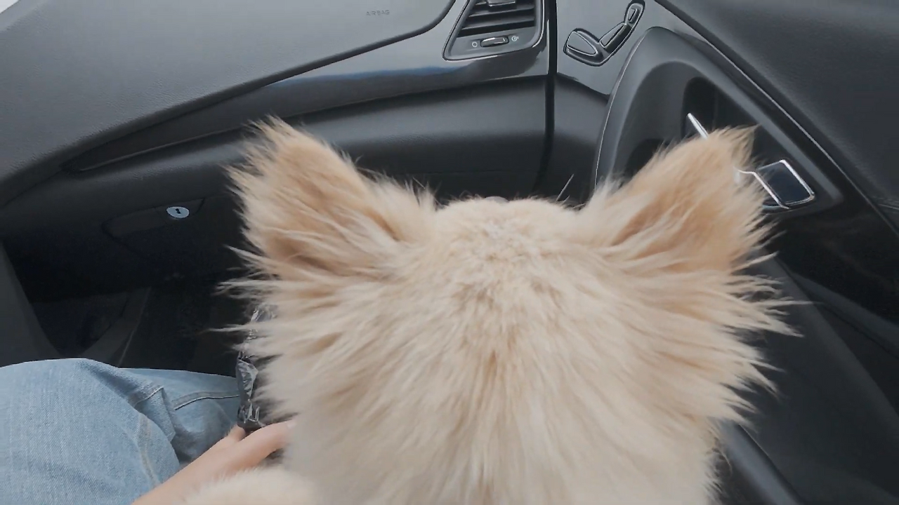 스크린샷 2025-12-09 202208.png