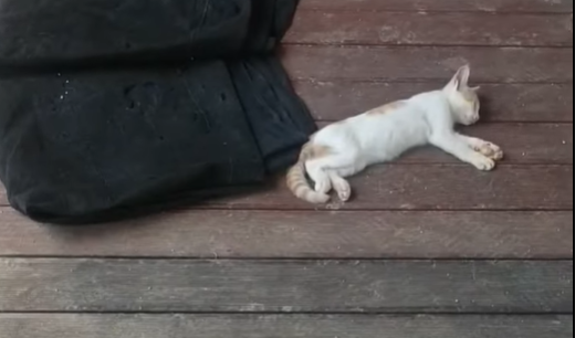 스크린샷 2025-11-29 111506.png