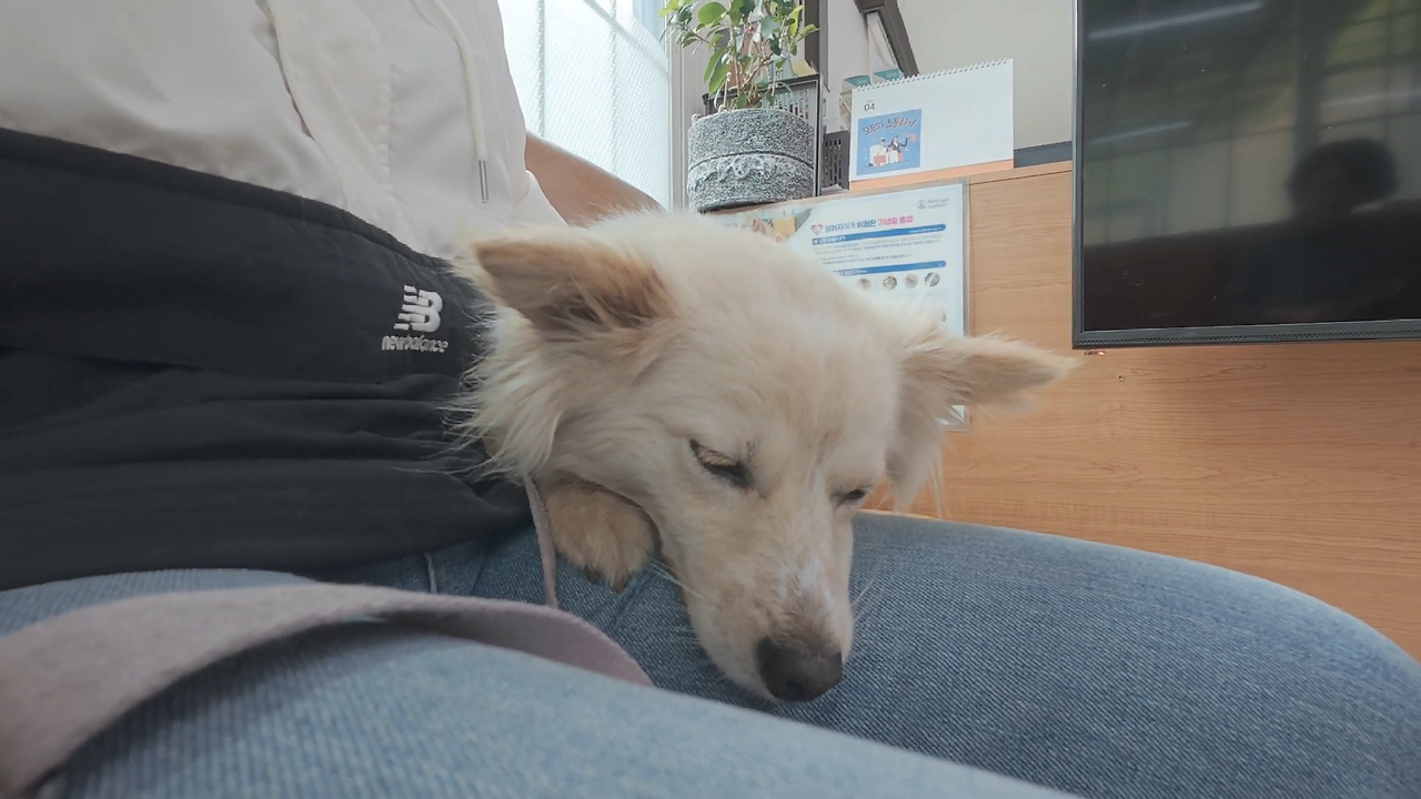 스크린샷 2025-12-09 202443.png