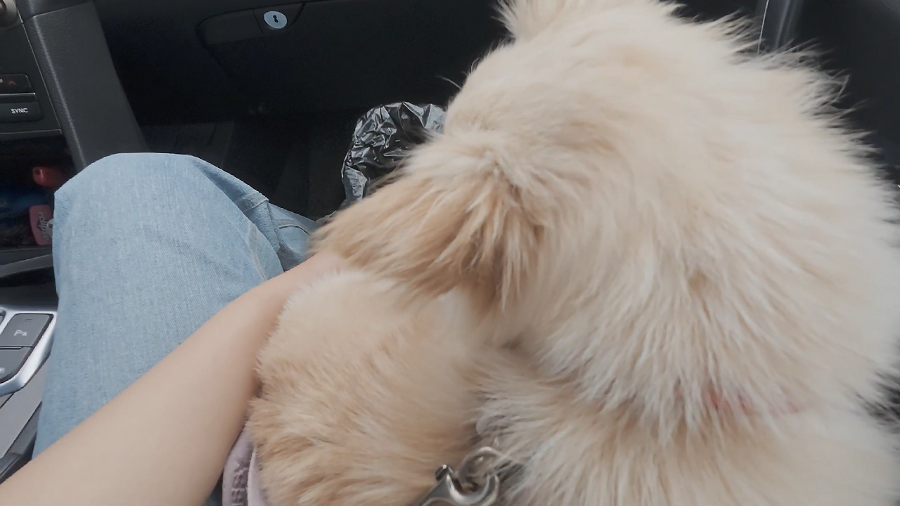 스크린샷 2025-12-09 202152.png