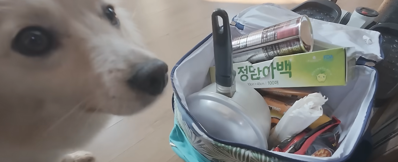 스크린샷 2025-11-21 211705.png