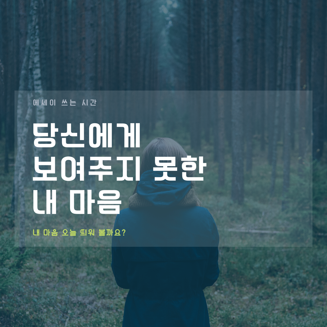 당보내, 마새시, 미라.png