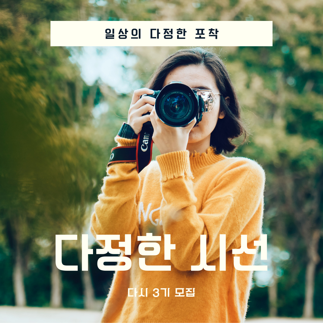 Generic - Travel Blog Title iPhone Layout.png