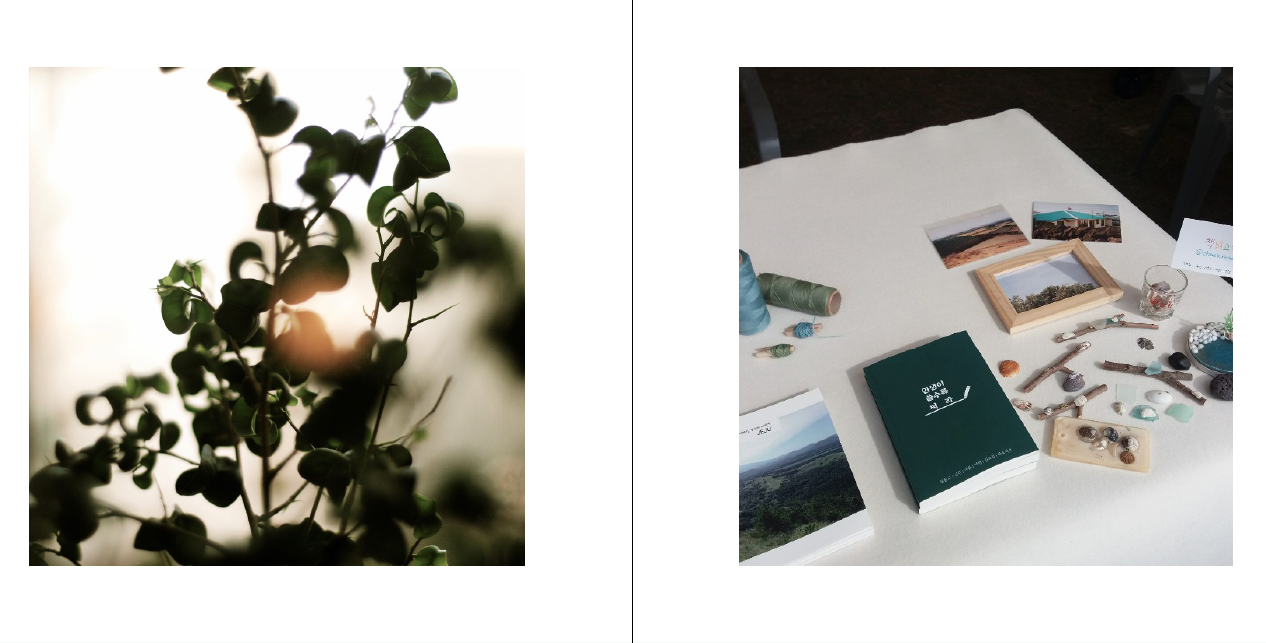 스크린샷 2019-02-01 오전 10.56.44.png