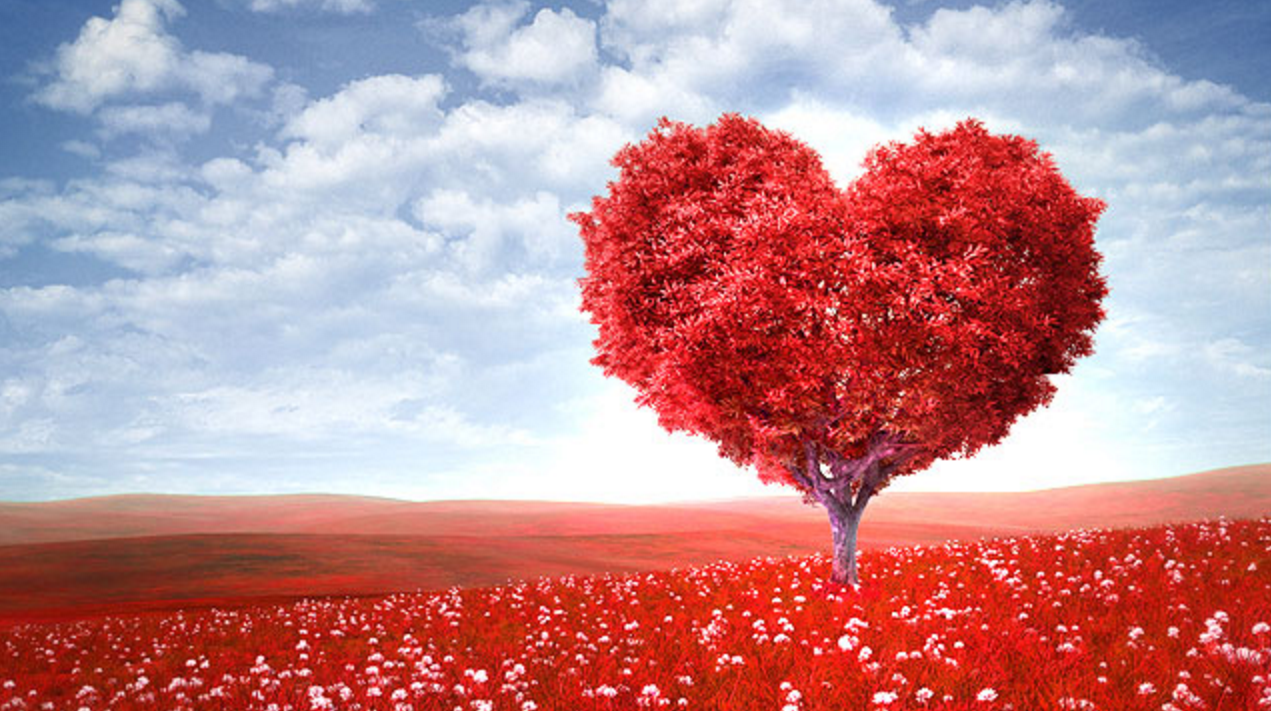 스크린샷 2017-01-08 오전 10.29.52.png