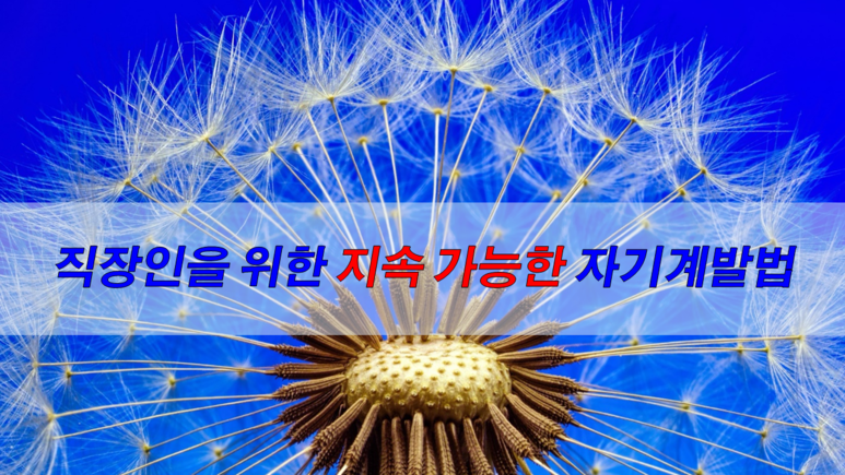 지속자기계발.png