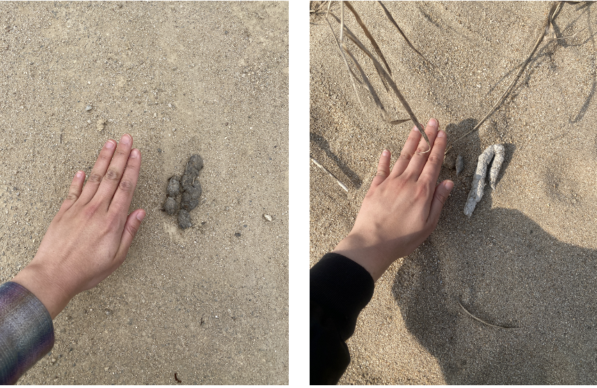 스크린샷 2023-12-05 오후 10.55.58.png