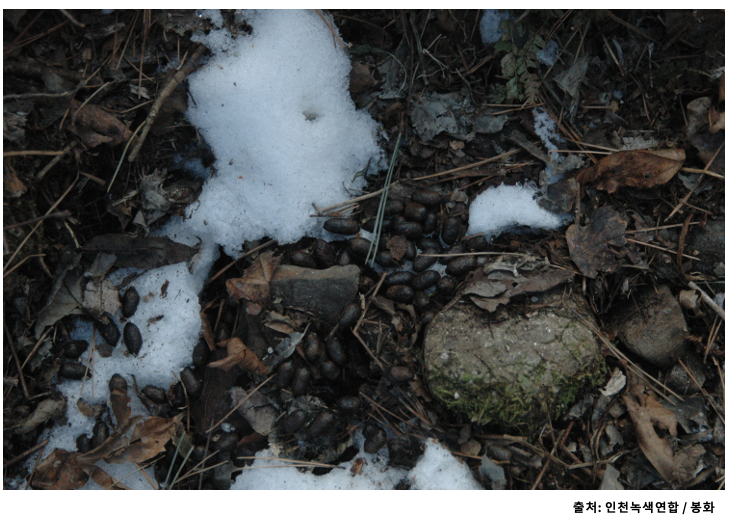 스크린샷 2023-12-05 오후 11.12.22.png