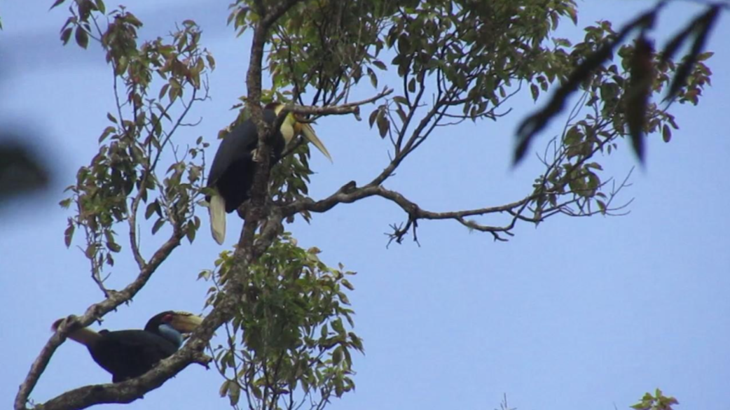 스크린샷 2018-09-26 오전 12.44.03.png