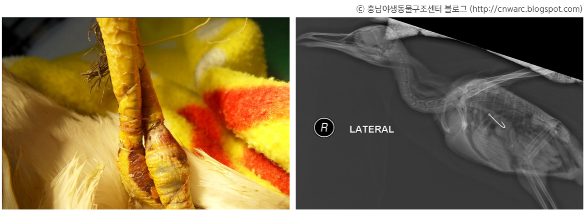 스크린샷 2019-08-21 오후 3.26.39.png