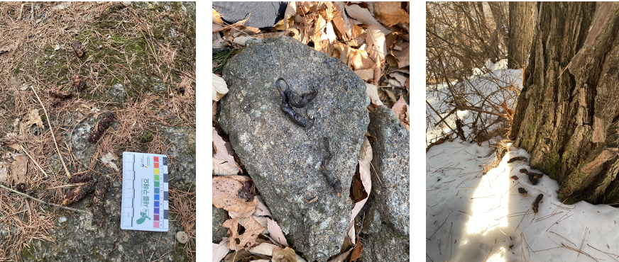 스크린샷 2023-12-05 오후 10.56.50.png