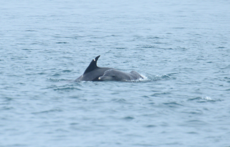 스크린샷 2018-04-12 오후 5.51.12.png