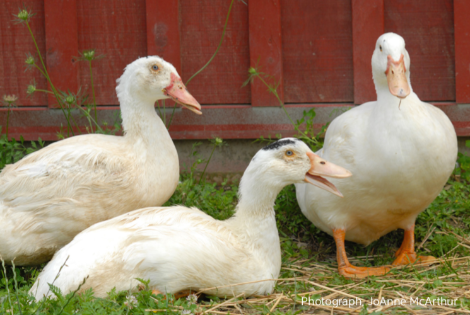 스크린샷 2018-11-26 오후 3.21.15.png