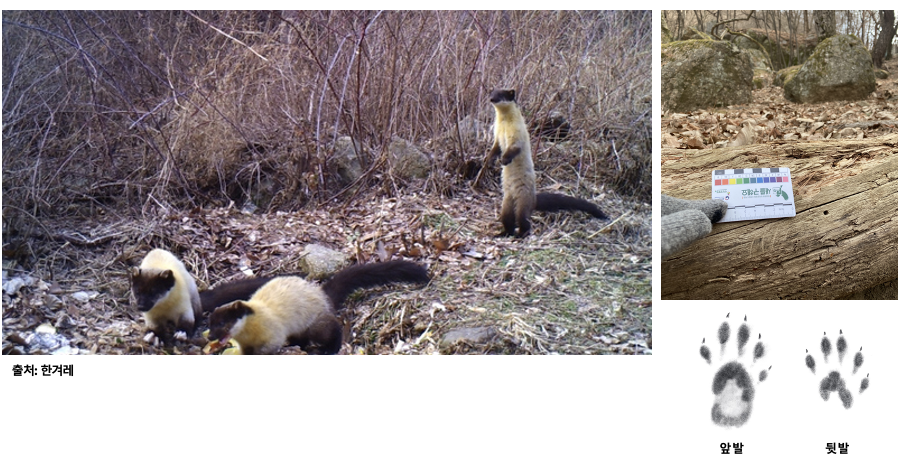 스크린샷 2023-12-05 오후 10.56.26.png