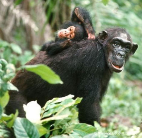 스크린샷 2018-11-26 오후 3.07.31.png