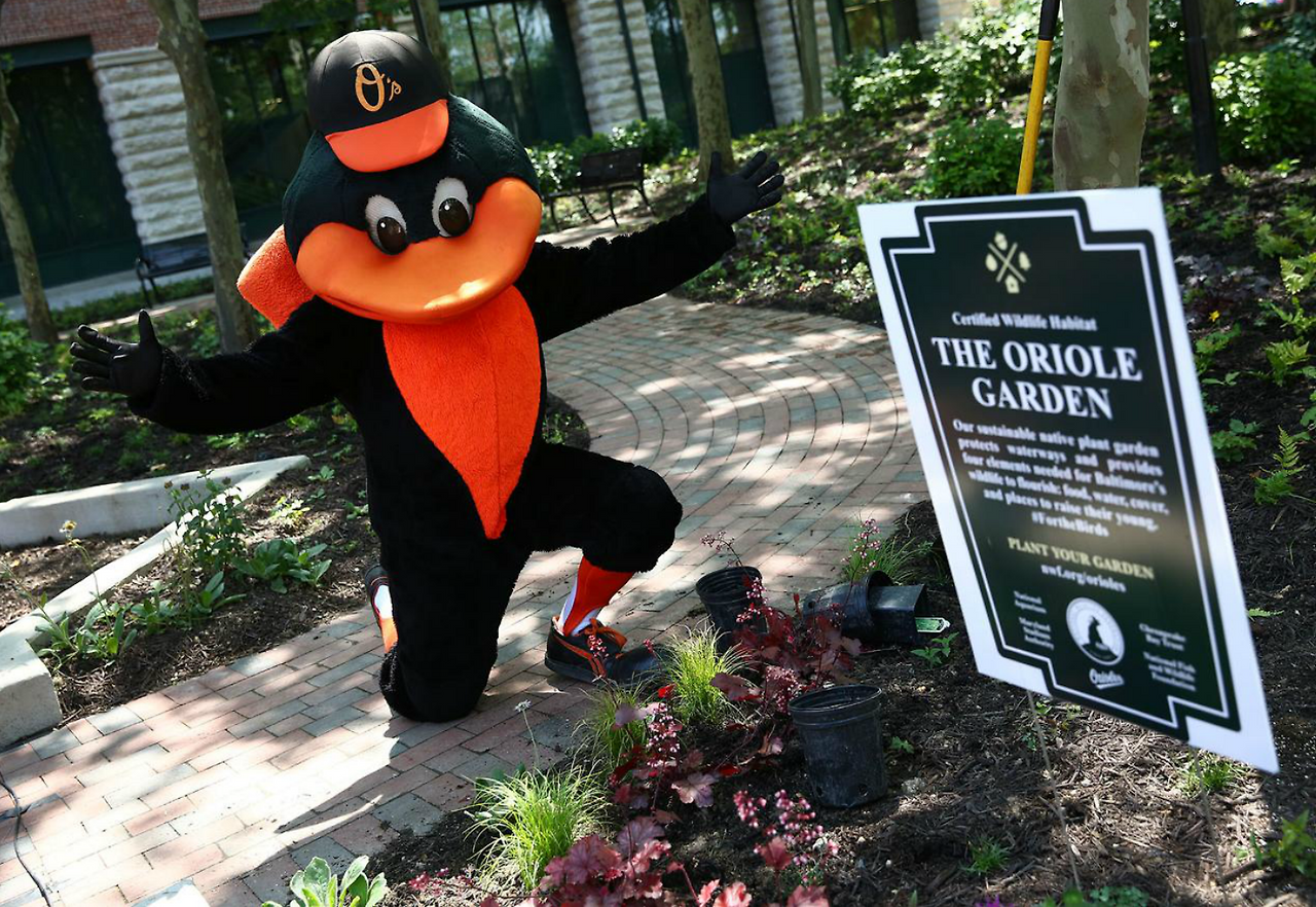 스크린샷 2016-09-11 오후 10.17.34.png