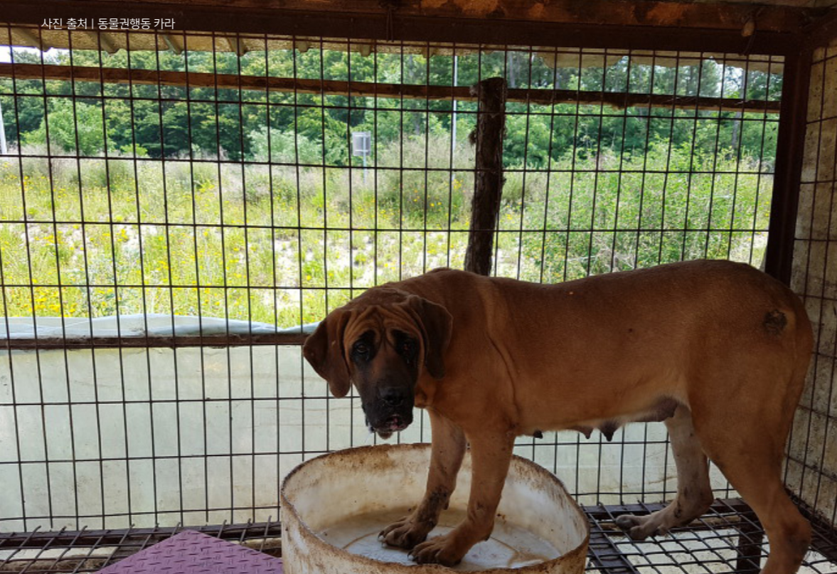 스크린샷 2019-01-14 오후 2.52.27.png