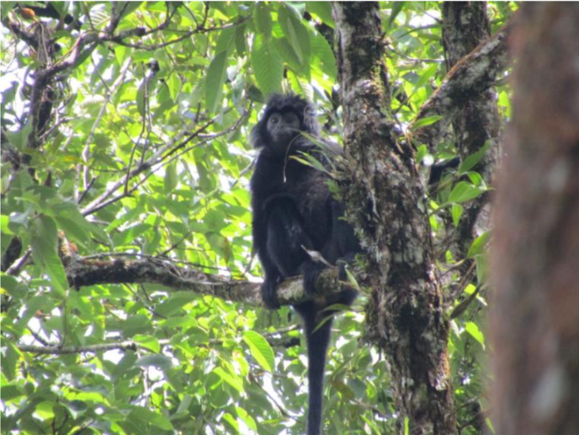 스크린샷 2018-09-27 오후 1.05.43.png