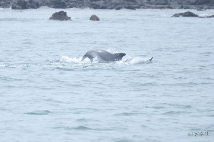 스크린샷 2016-07-19 오후 4.26.11.png