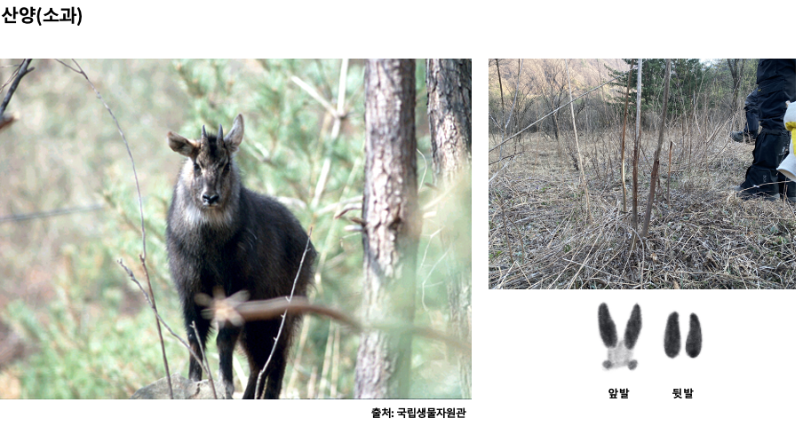 스크린샷 2023-12-05 오후 10.59.17.png