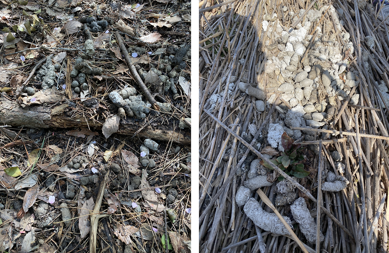 스크린샷 2023-12-05 오후 10.54.35.png