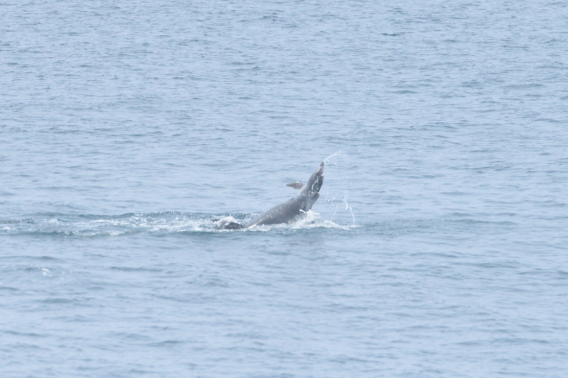 스크린샷 2018-04-12 오후 7.09.26.png